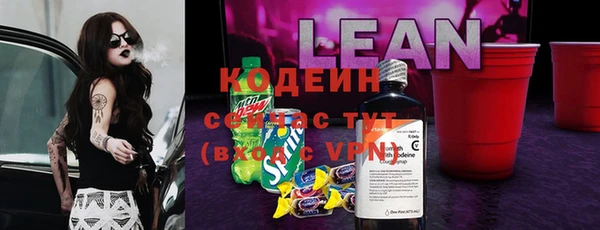 прущие грибы Кодинск