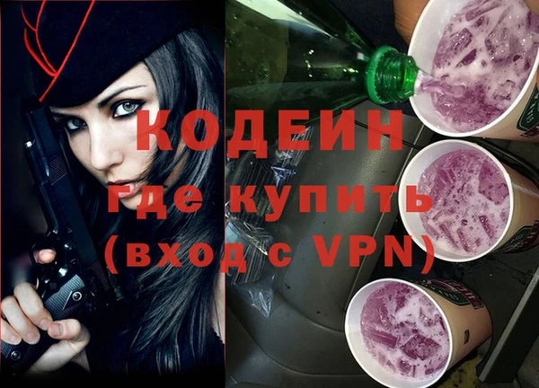 прущие грибы Кодинск