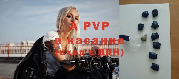 прущие грибы Кодинск
