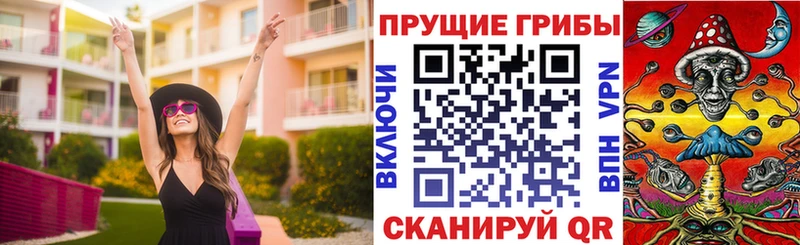 Купить закладки  Петушки  Галлюциногенные грибы мухоморы 